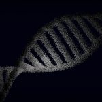 Genetic Non-Discrimination: Civil Rights in the 21st Century